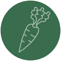 carrot icon